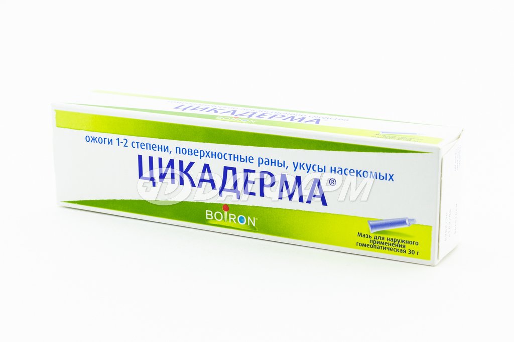 ЦИКАДЕРМА мазь для наружного применения гомеопатическая туба 30г