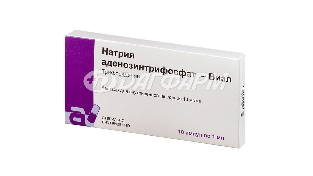 НАТРИЯ АДЕНОЗИНТРИФОСФАТ-ВИАЛ раствор для внутривенного введения 10мг/мл ампула 1мл №10