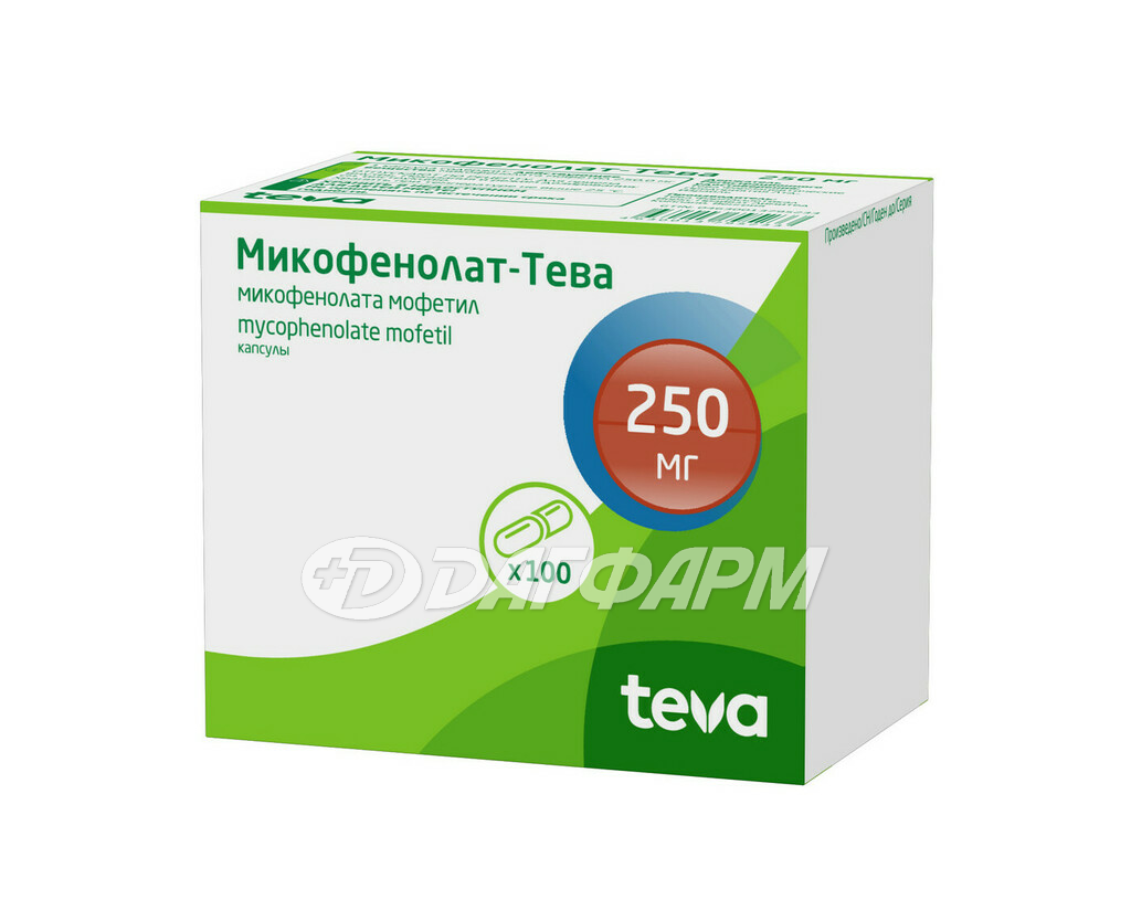 МИКОФЕНОЛАТ-ТЕВА капсулы  250мг №100